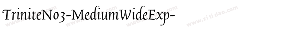TriniteNo3-MediumWideExp字体转换