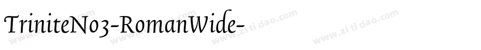 TriniteNo3-RomanWide字体转换