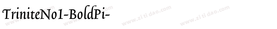 TriniteNo1-BoldPi字体转换