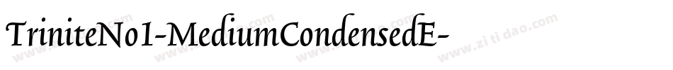 TriniteNo1-MediumCondensedE字体转换