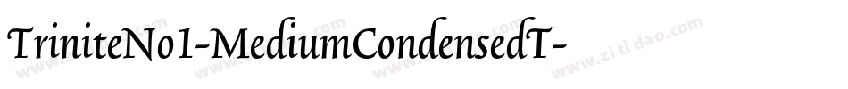 TriniteNo1-MediumCondensedT字体转换