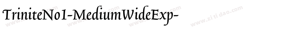 TriniteNo1-MediumWideExp字体转换