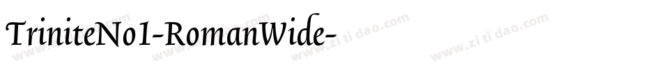 TriniteNo1-RomanWide字体转换