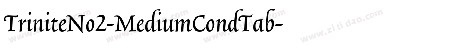 TriniteNo2-MediumCondTab字体转换