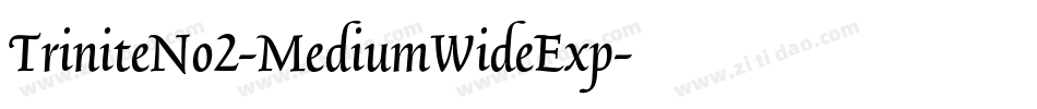 TriniteNo2-MediumWideExp字体转换
