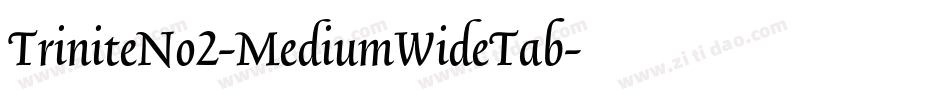 TriniteNo2-MediumWideTab字体转换