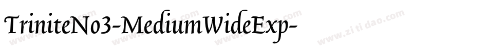 TriniteNo3-MediumWideExp字体转换