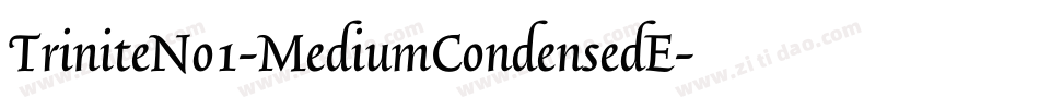 TriniteNo1-MediumCondensedE字体转换