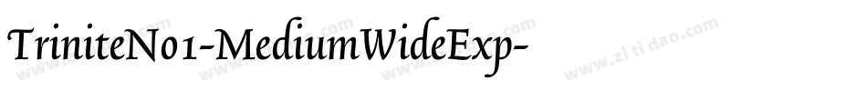TriniteNo1-MediumWideExp字体转换
