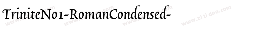 TriniteNo1-RomanCondensed字体转换