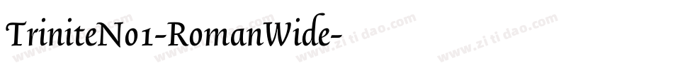 TriniteNo1-RomanWide字体转换