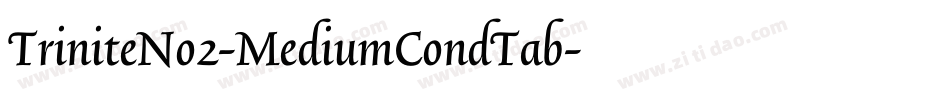 TriniteNo2-MediumCondTab字体转换
