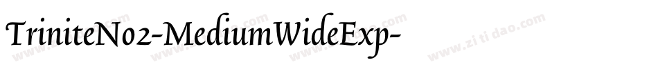 TriniteNo2-MediumWideExp字体转换