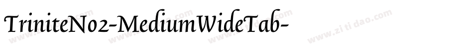 TriniteNo2-MediumWideTab字体转换