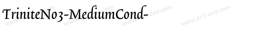 TriniteNo3-MediumCond字体转换