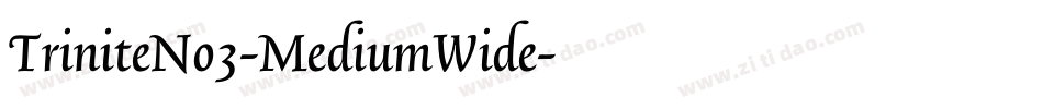 TriniteNo3-MediumWide字体转换