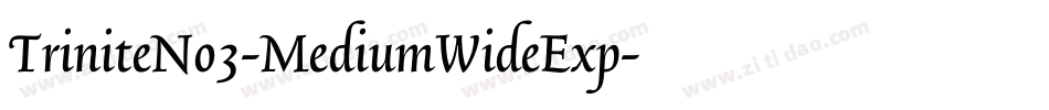 TriniteNo3-MediumWideExp字体转换