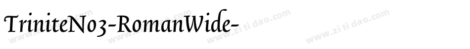 TriniteNo3-RomanWide字体转换