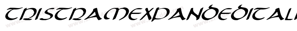 TristramExpandedItalic-6qOx字体转换