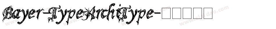Bayer-TypeArchiType字体转换
