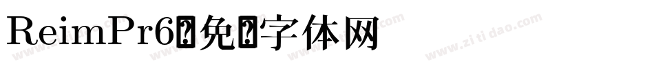 ReimPr6字体转换
