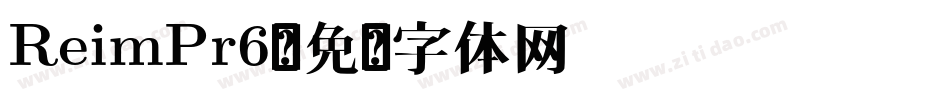 ReimPr6字体转换