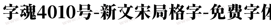 字魂4010号-新文宋局格字字体转换