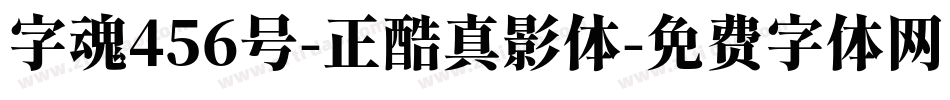 字魂456号-正酷真影体字体转换