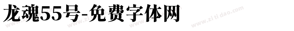 龙魂55号字体转换