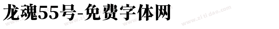 龙魂55号字体转换