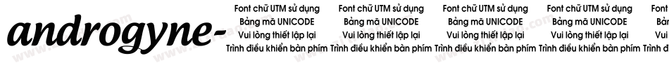 androgyne字体转换