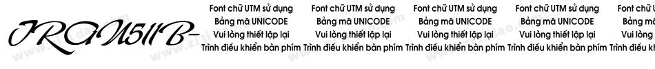 TRAN511B字体转换