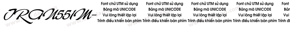 TRAN551M字体转换