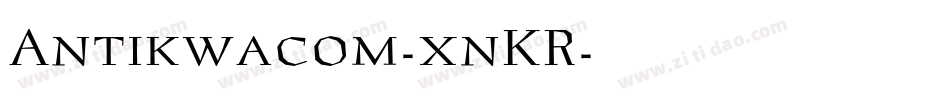 Antikwacom-xnKR字体转换