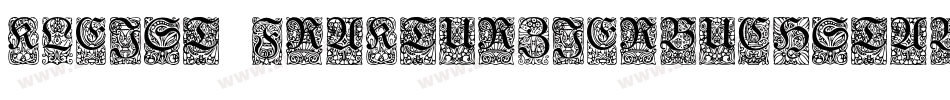 Kleist-FrakturZierbuchstaben字体转换