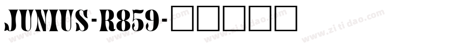 Junius-r859字体转换