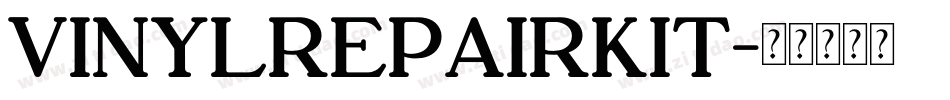 VINYLREPAIRKIT字体转换