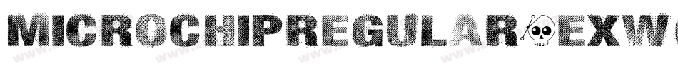MicrochipRegular-ExWg字体转换