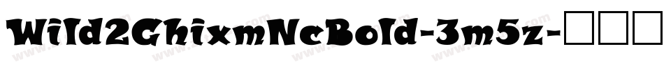 Wild2GhixmNcBold-3m5z字体转换