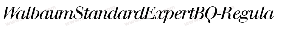 WalbaumStandardExpertBQ-Regular字体转换