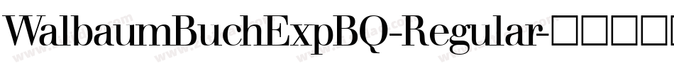WalbaumBuchExpBQ-Regular字体转换