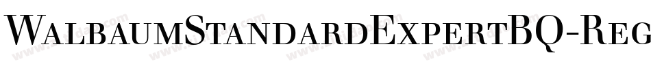 WalbaumStandardExpertBQ-Regular字体转换