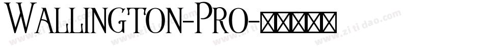 Wallington-Pro字体转换