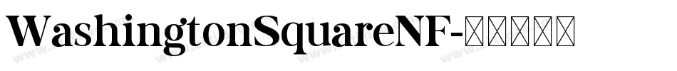 WashingtonSquareNF字体转换
