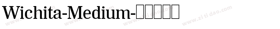 Wichita-Medium字体转换