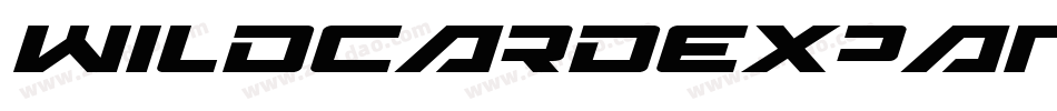 WildcardExpandedItalic-9DWn字体转换