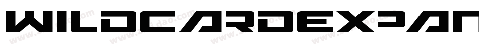 WildcardExpandedItalic-9DWn字体转换