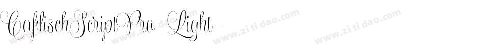 CaflischScriptPro-Light字体转换