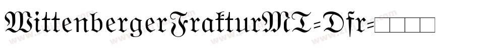 WittenbergerFrakturMT-Dfr字体转换