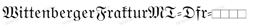 WittenbergerFrakturMT-Dfr字体转换